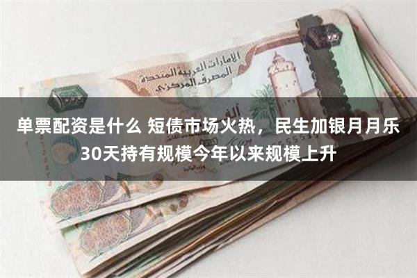 单票配资是什么 短债市场火热，民生加银月月乐30天持有规模今年以来规模上升