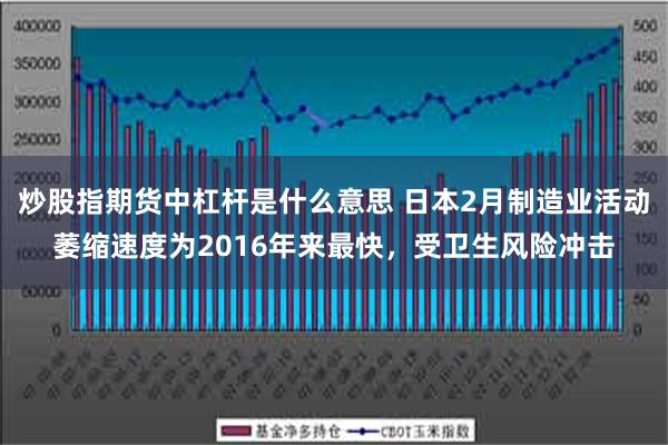 炒股指期货中杠杆是什么意思 日本2月制造业活动萎缩速度为2016年来最快，受卫生风险冲击