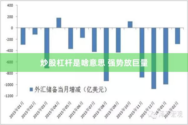 炒股杠杆是啥意思 强势放巨量