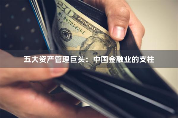 五大资产管理巨头：中国金融业的支柱