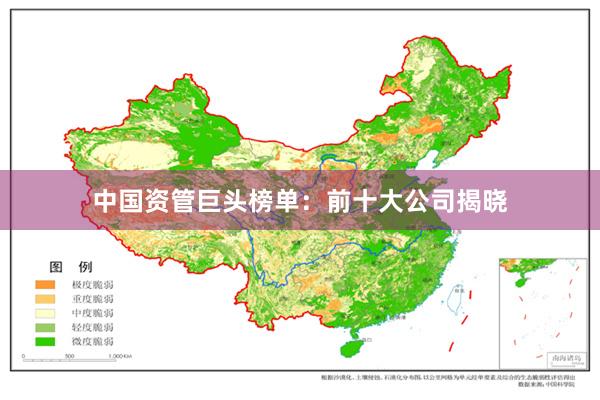 中国资管巨头榜单：前十大公司揭晓