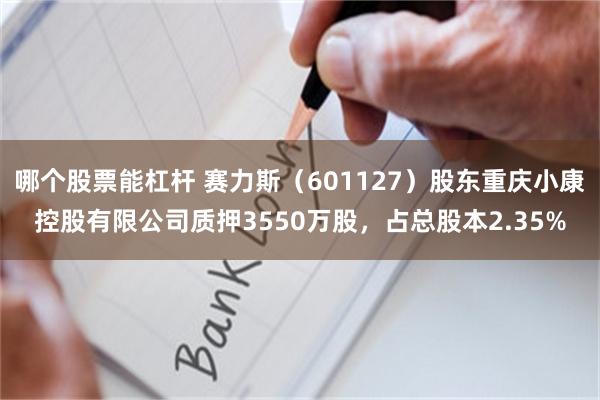 哪个股票能杠杆 赛力斯（601127）股东重庆小康控股有限公司质押3550万股，占总股本2.35%