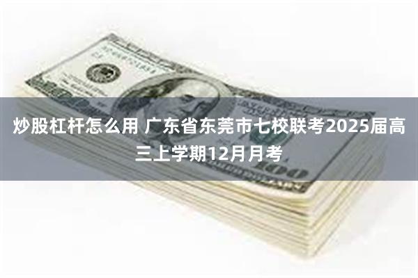 炒股杠杆怎么用 广东省东莞市七校联考2025届高三上学期12月月考