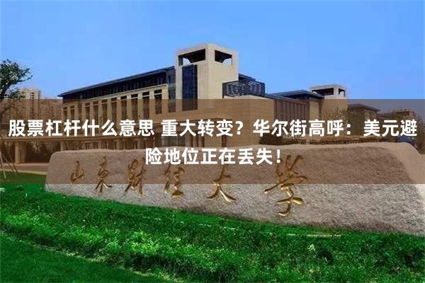 股票杠杆什么意思 重大转变？华尔街高呼：美元避险地位正在丢失！