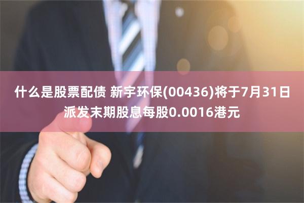 什么是股票配债 新宇环保(00436)将于7月31日派发末期股息每股0.0016港元